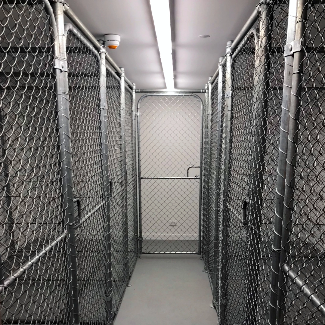 galvanised chainwire cage compounds for an animal shelter